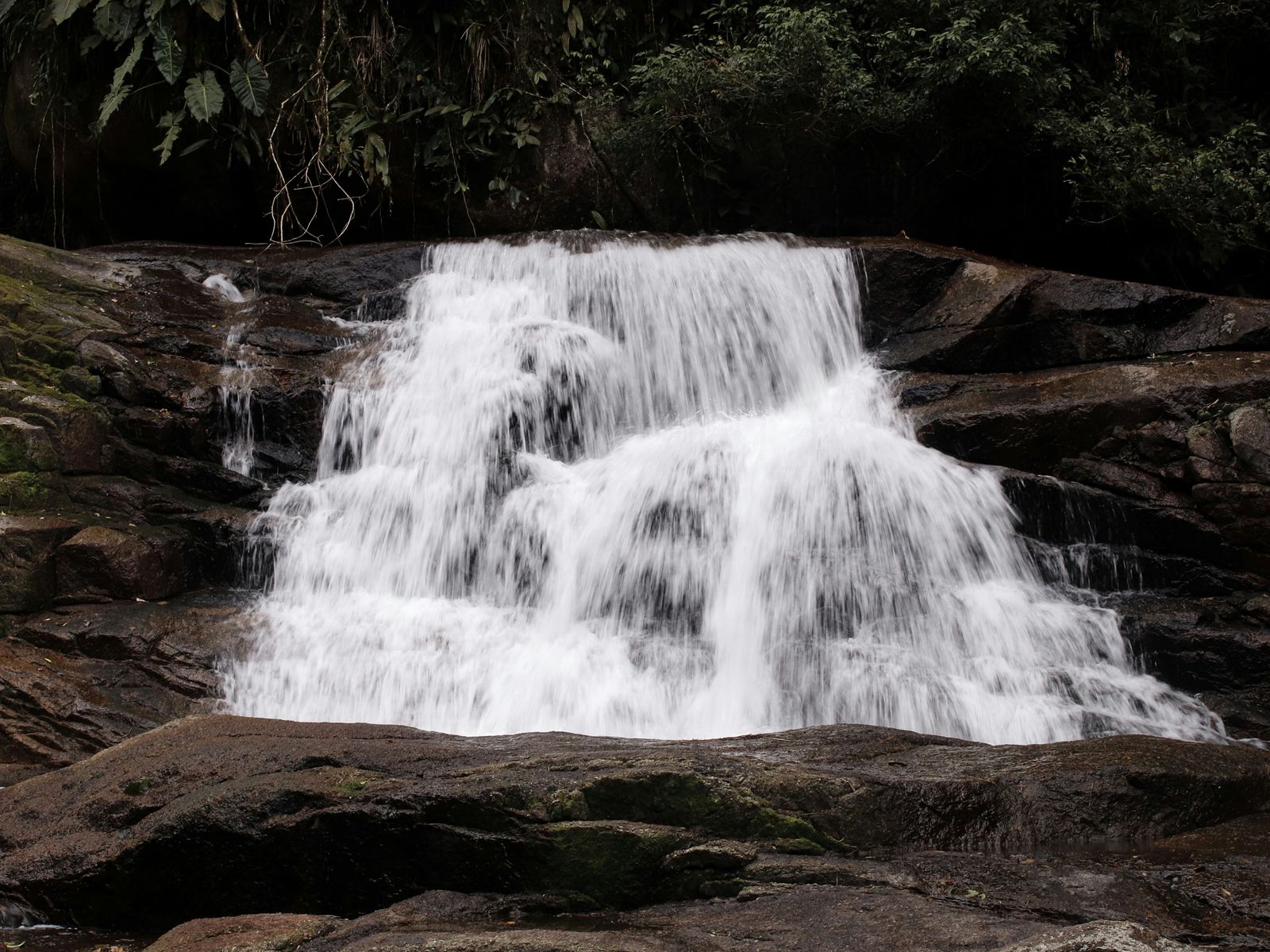 Wasserfall, der über eine Felsplatte mitten im Wald fließt